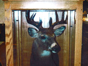 Taxidermy Mounts in Custom Cabinets - Great Bear Taxidermy