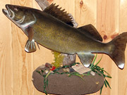 Taxidermy Fish Reproduction - Great Bear Taxidermy