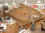 Taxidermy Fish Reproduction - Great Bear Taxidermy