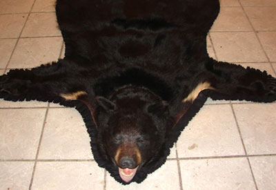 Black Bear Rug