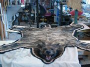 African Animal Mount - Great Bear Taxidermy