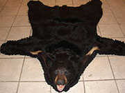 Animal Skin Rugs - Great Bear Taxidermy